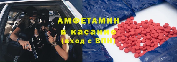 амф Бородино