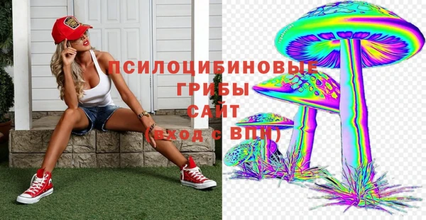 амф Бородино