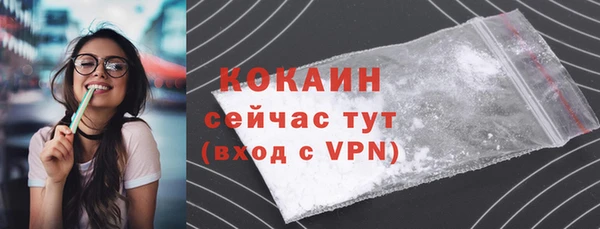 амф Бородино