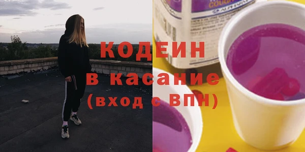 амф Бородино