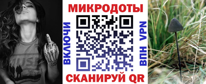 наркотики  Петропавловск-Камчатский  Псилоцибиновые грибы ЛСД 
