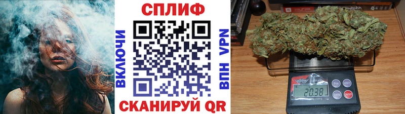 MEGA как войти Петропавловск-Камчатский дарк нет клад где купить наркоту Марихуана MAZAR
